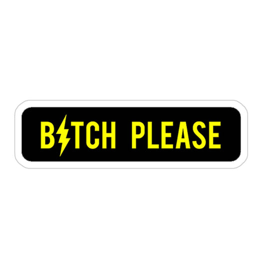 Bitch Please Sticker